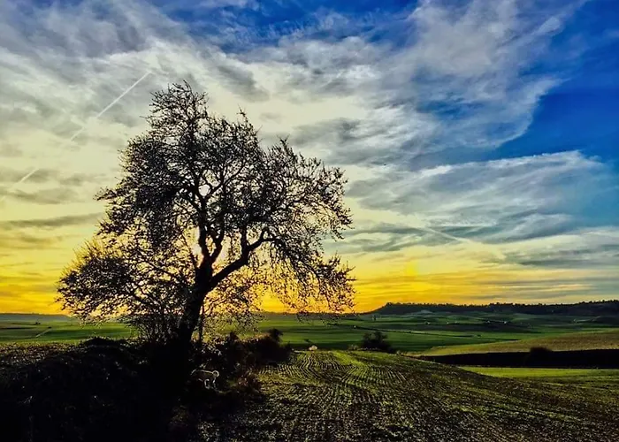 El Rincon Del Alma Mia